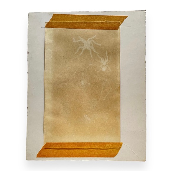 Vintage Spider Illustrations - book plate etchings - Picture 2 of 6